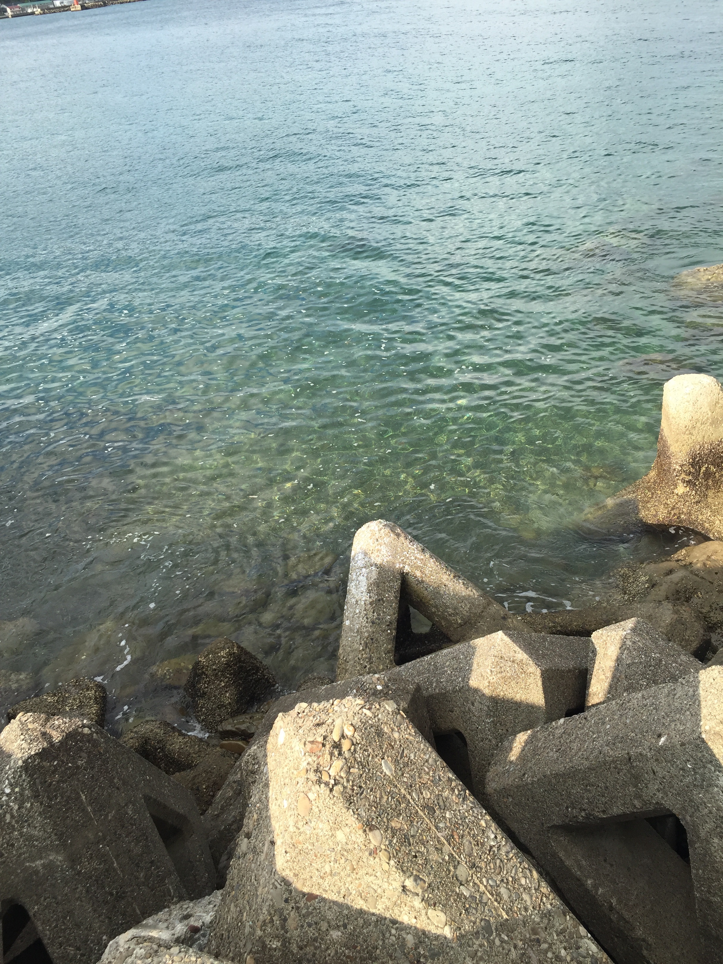 産湯漁港の釣り場紹介、和歌山中紀の濁りや水潮に強い中紀エギングにオススメの漁港
