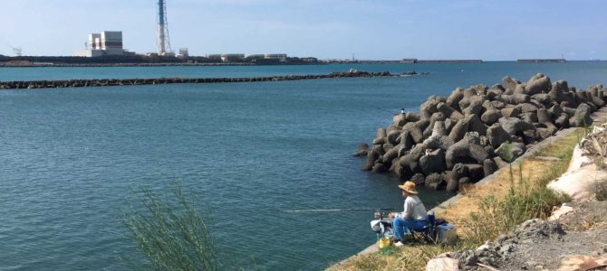 中紀日高川シーバスヒラメ釣行