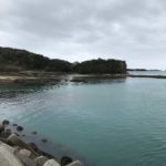 新庄漁港の釣り場紹介、和歌山県田辺市にある干潮だけの春イカ狙い藻場と白浜釣行のお土産釣り場