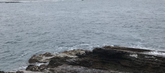 白浜小島の釣り場紹介