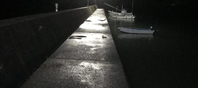 南紀江田漁港の常夜灯はエギングにオススメ
