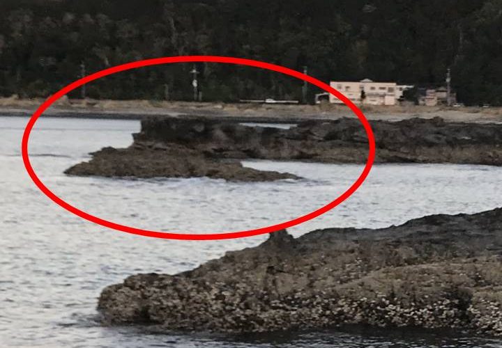 和歌山県串本高富のローソン裏の地磯エギング釣り場紹介