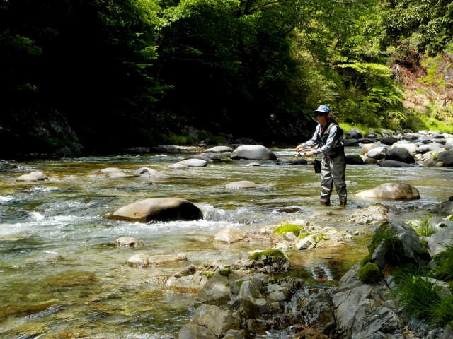 Do you need Fishing license for your fishing in Japan?