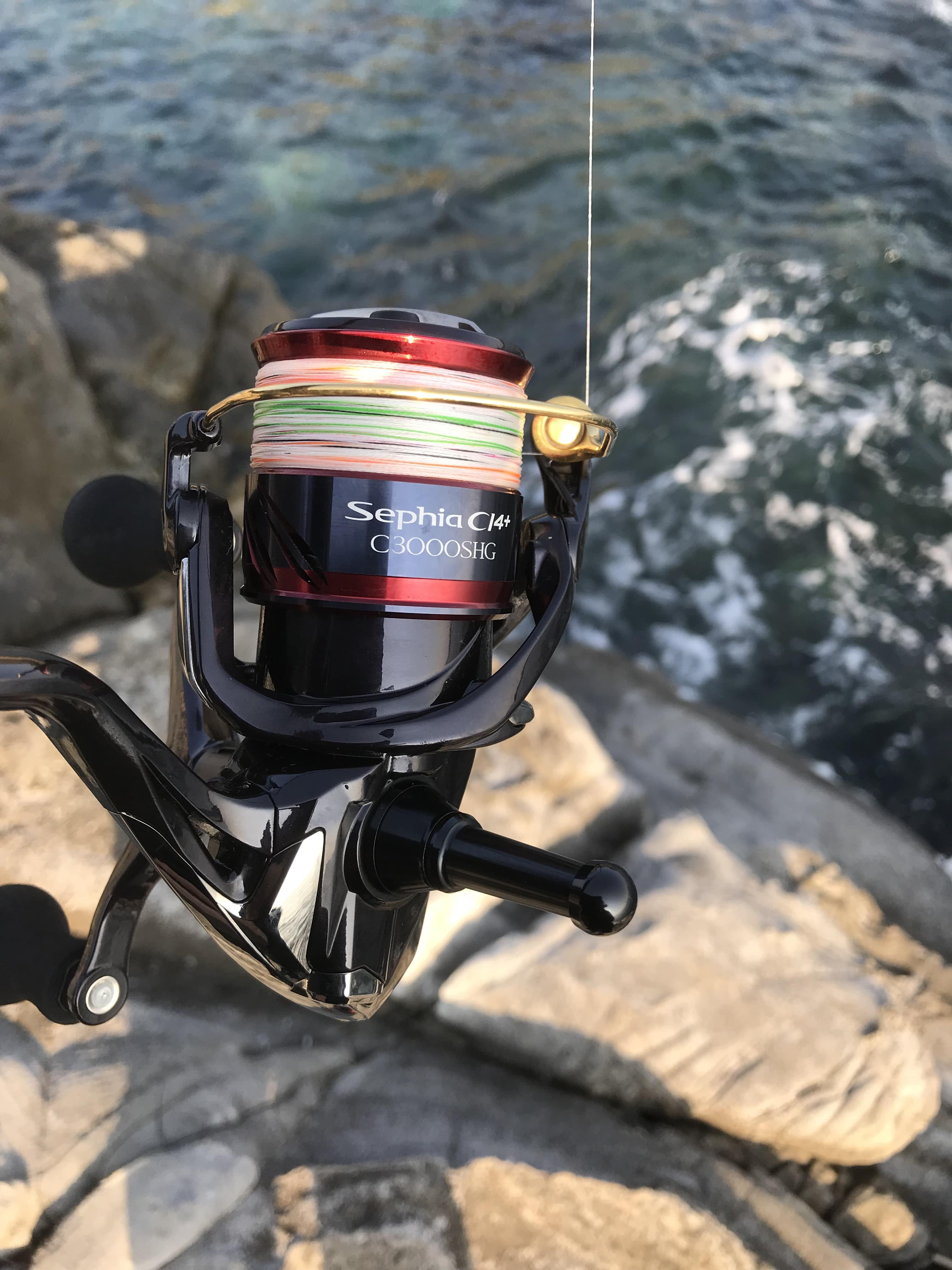 SHIMANO セフィア CI4+ C3000 SHG エギ ステラ リール www