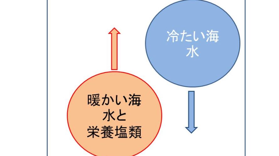 春夏秋冬四季の中でいつが一番釣れるの とプランクトン量の周年変化のお話 ヒラマサとアオリイカを求めて