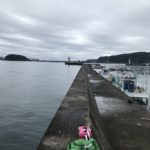 エギングにオススメのポイント串本漁港外側堤防、和歌山県串本のサビキもできてエギングで時期外れの超大型も期待できる漁港