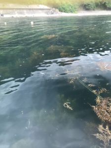 遊子海水浴場のプチ堤防の釣り場紹介、福井県常神半島のエギングにオススメのちょこっと隠れた穴場堤防