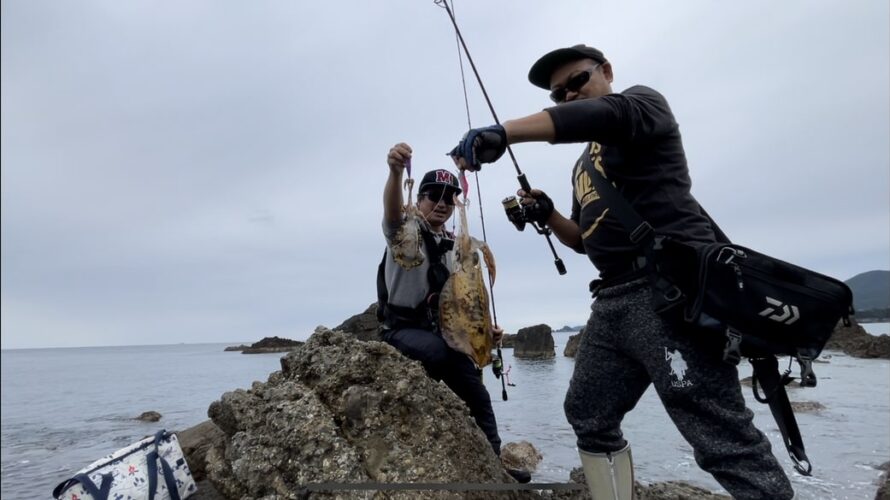 和歌山エギング釣果、釣友をガイドサービスして秋のアオリイカを連発する釣行記・釣果【１１月和歌山】