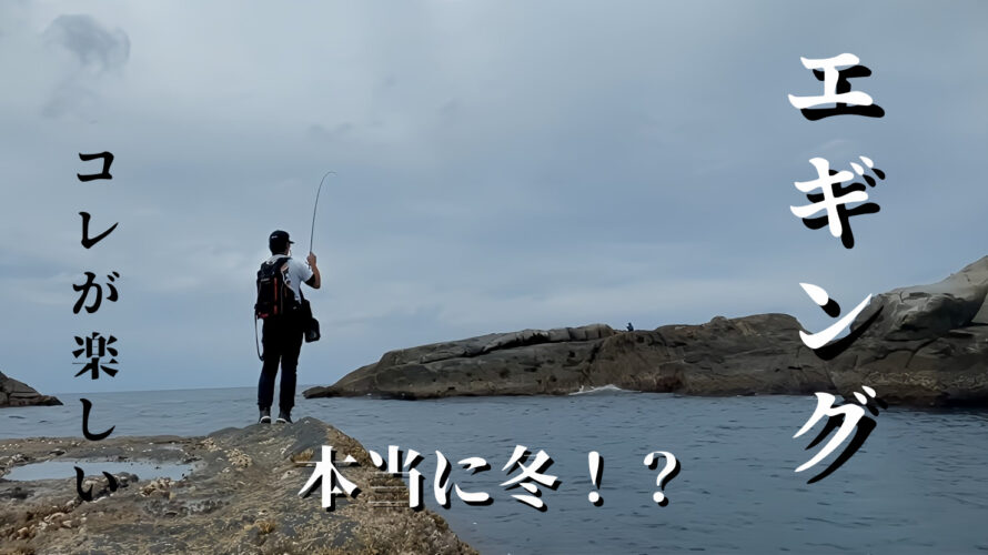 温暖化でどうなるアオリイカ？冬の和歌山の釣りを満喫するアジング・エギング釣行記【１２月和歌山】