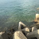 産湯漁港の釣り場紹介、和歌山中紀の濁りや水潮に強い中紀エギングにオススメの漁港