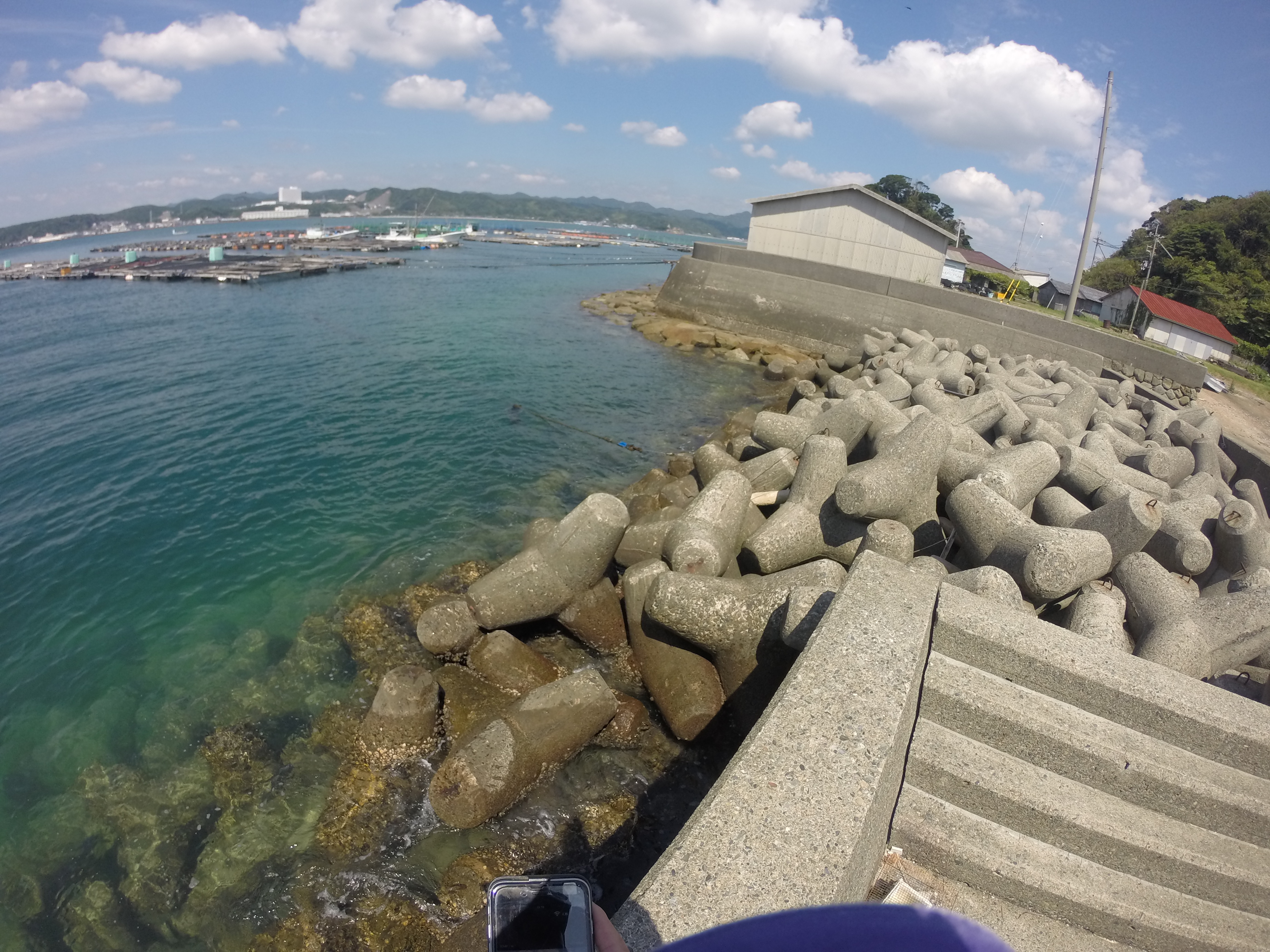 エギングとサビキにオススメのポイント旧大島港の釣り場紹介、和歌山南紀串本大島の静かな漁港