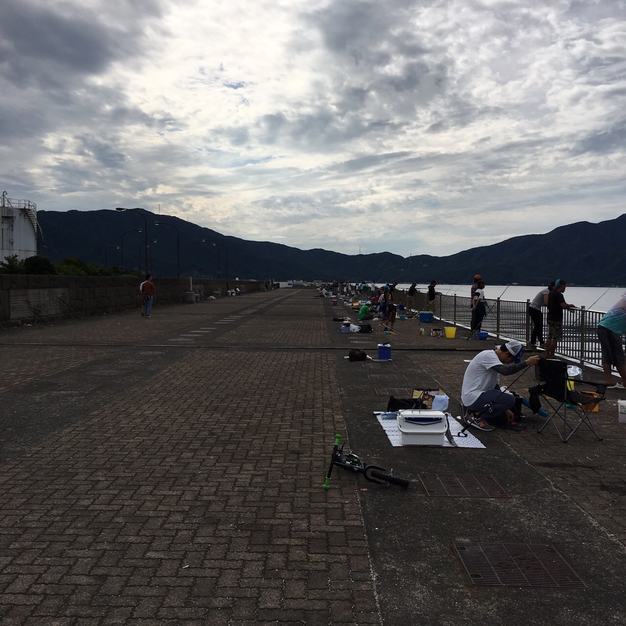 最近の福井敦賀新港のサゴシ他の釣果状況