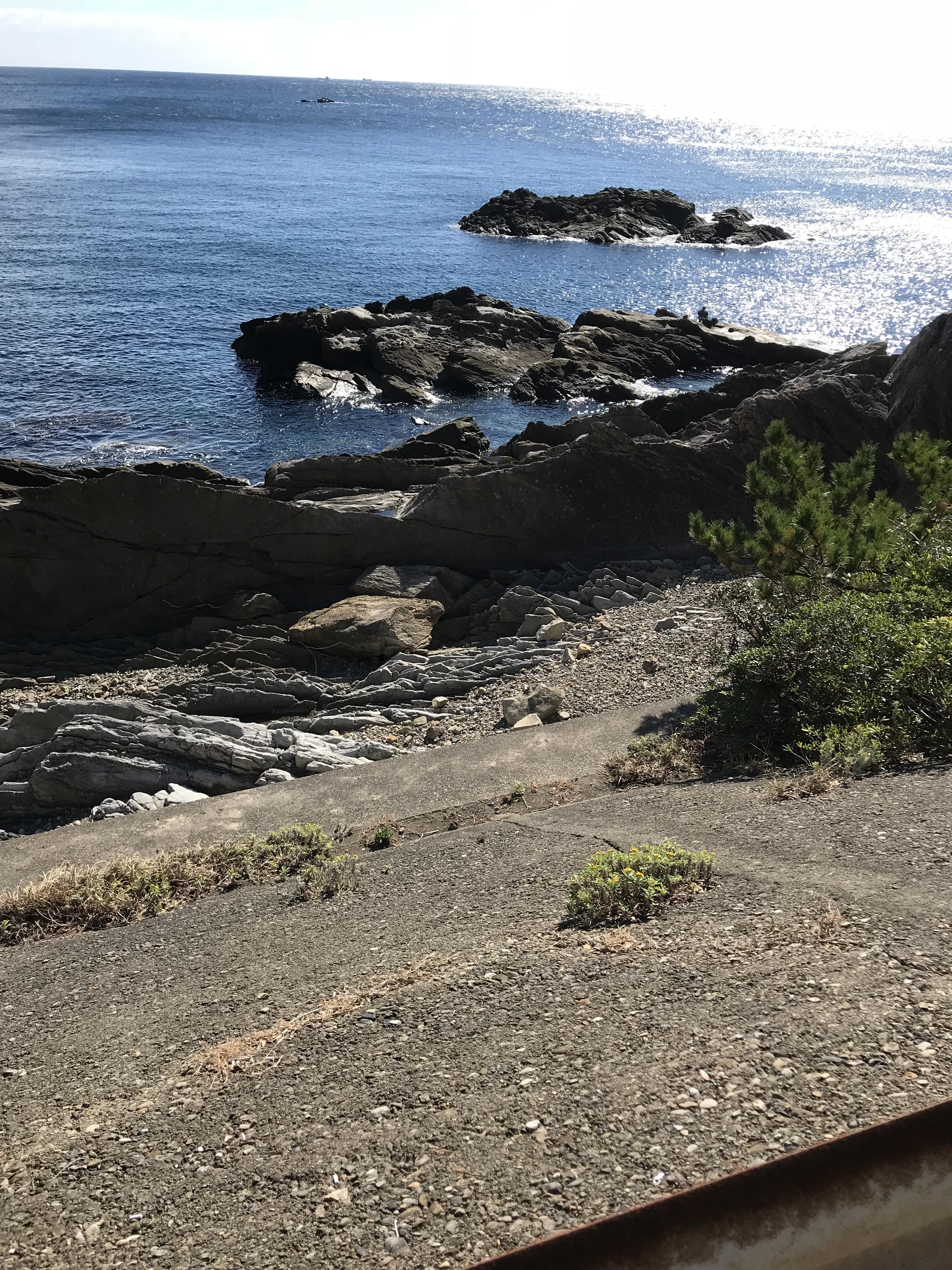 伊古木地磯の釣り場紹介（和歌山県南紀白浜）：北風に強い手軽なエギング地磯