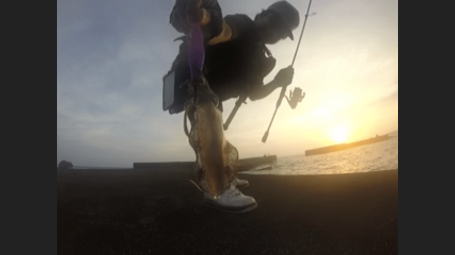 【動画付き】徳之島へ釣り遠征、GTが釣りたいショアキャスティング釣行記day４