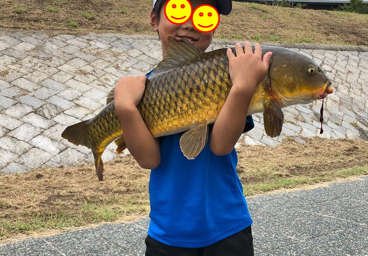小学１年生が釣りあげた！吸い込みばりで大型真鯉の淡水釣果報告