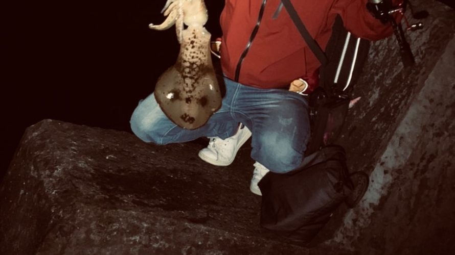 春の大型アオリイカを求めて和歌山南紀白浜でエギング釣行・釣果報告（３月）