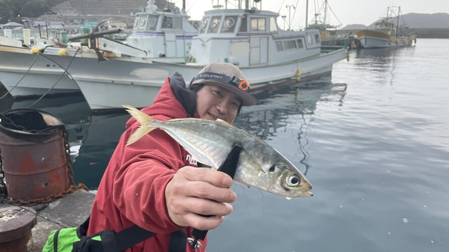 和歌山中紀冬のアジング釣行記～大きいアジを釣るためにしたこと～#５（和歌山２月）